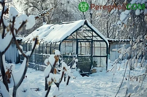 Декоративный пруд на дачном участке и его содержание