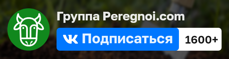 Peregnoi в Вконтакте