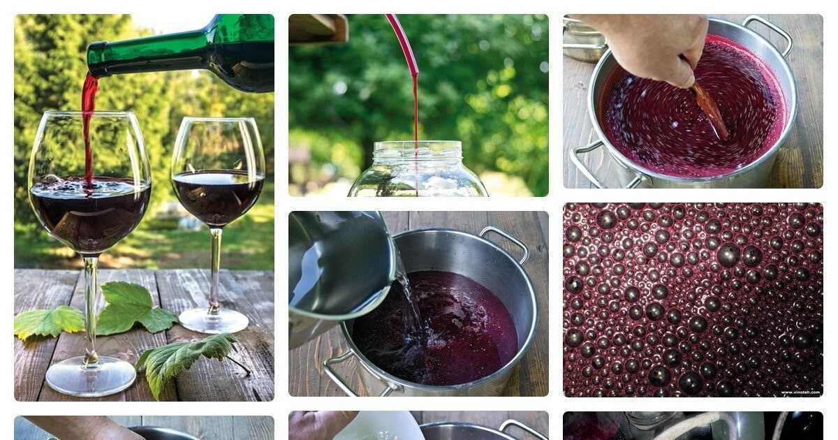 Секреты домашнего вина из черной смородины