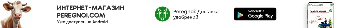 Приложение