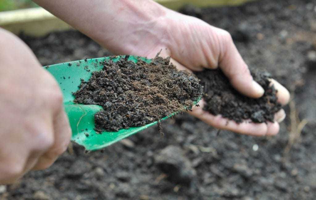 Как торф влияет на кислотность почвы