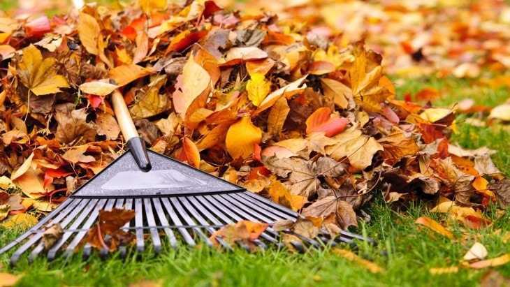 8 идей, что делать с опавшими листьями
