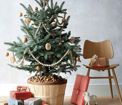 Как сохранить хвойное деревце, приобретенное в качестве новогоднего сувенира