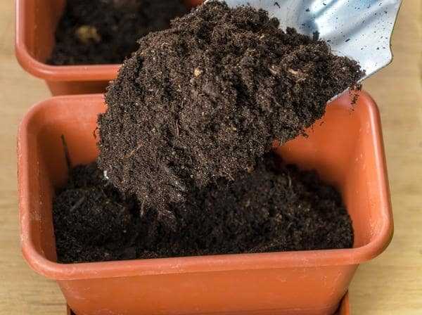почва для посадки семян
