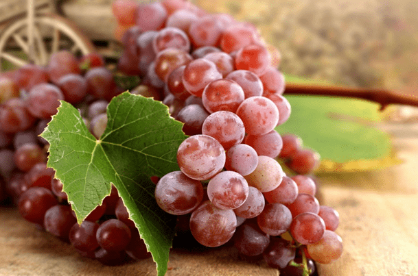 выращивание винограда