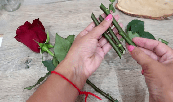 подготовка черенков роз из букета