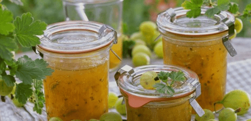 варенье из крыжовника варенье из крыжовника