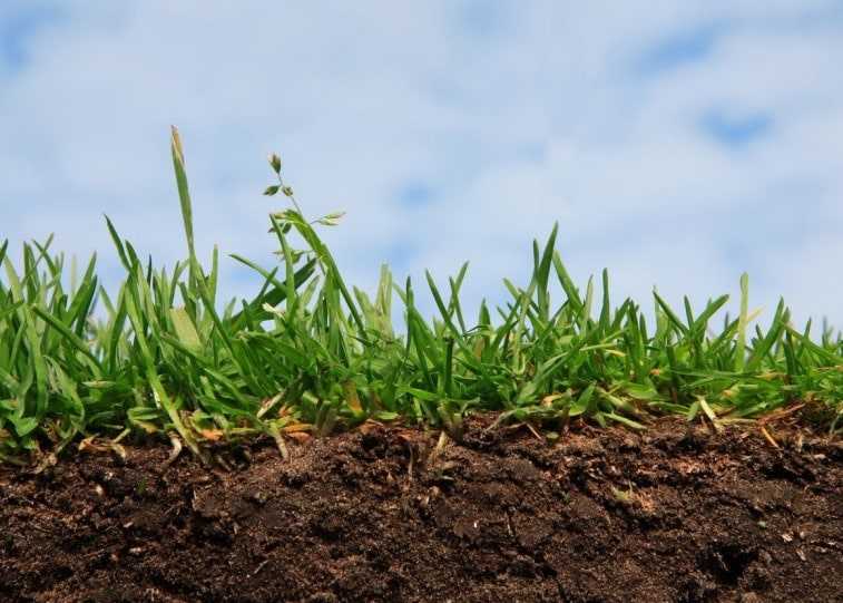 Восстановление плодородия почвы
