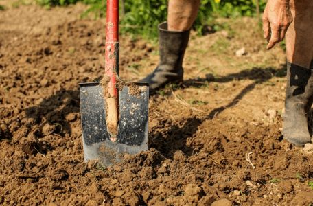 как улучшить глинистую почву