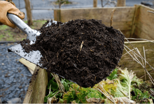 применение биогумуса в саду и огороде