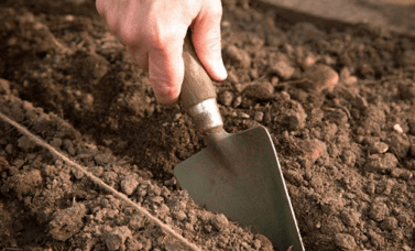 Подготовка почвы под огурцы