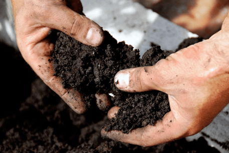 замена почвы в теплице