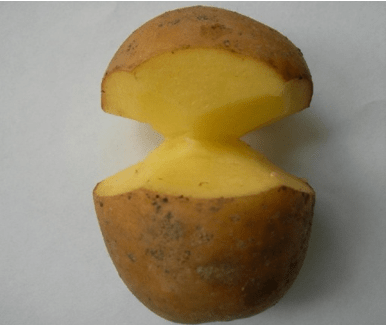 Китайский метод посадки картофеля