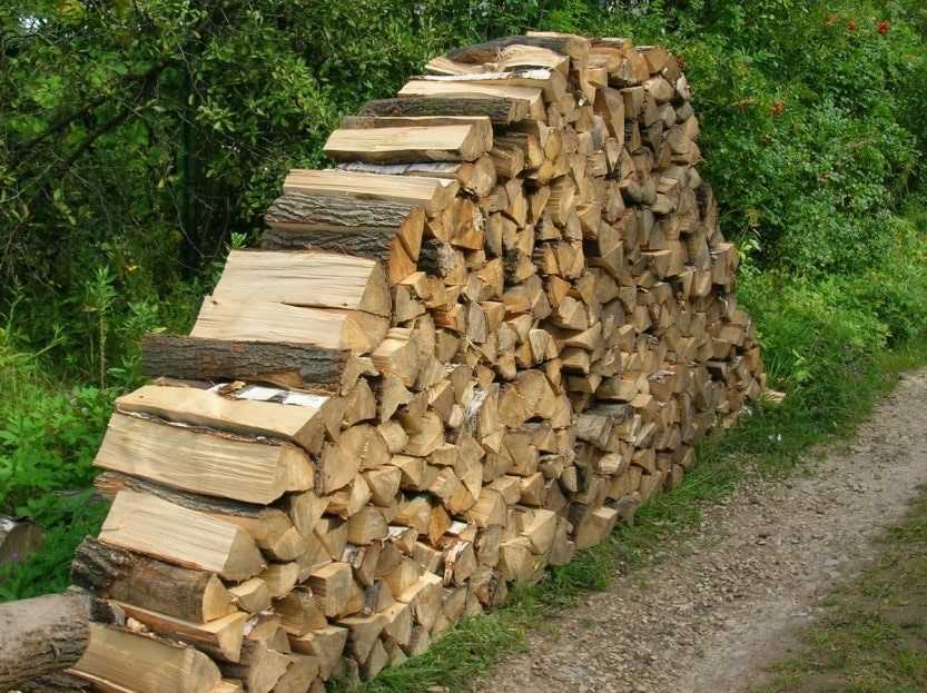 Хранение дубовых дров