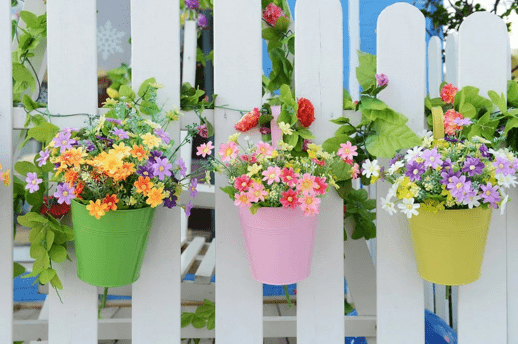 Цветники из комнатных растений