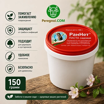 РанНет