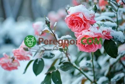 Детские песочницы: виды, размещение, выбор песка