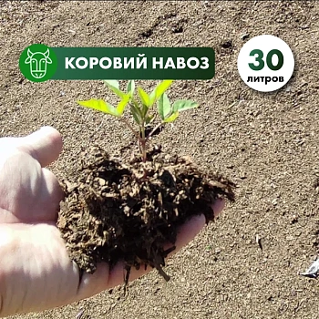 Конский навоз свежий  в мешках 30л.