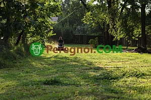 Топ-10 задач в саду и огороде для ноября