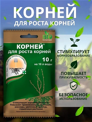 Корней (10 гр.)