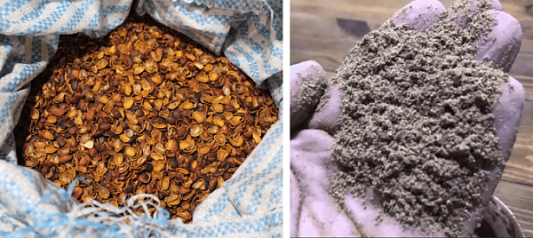 удобрение и подкормка из скорлупы кедрового ореха