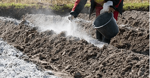 Как сделать плодородную землю из суглинка или глины: пошаговая инструкция